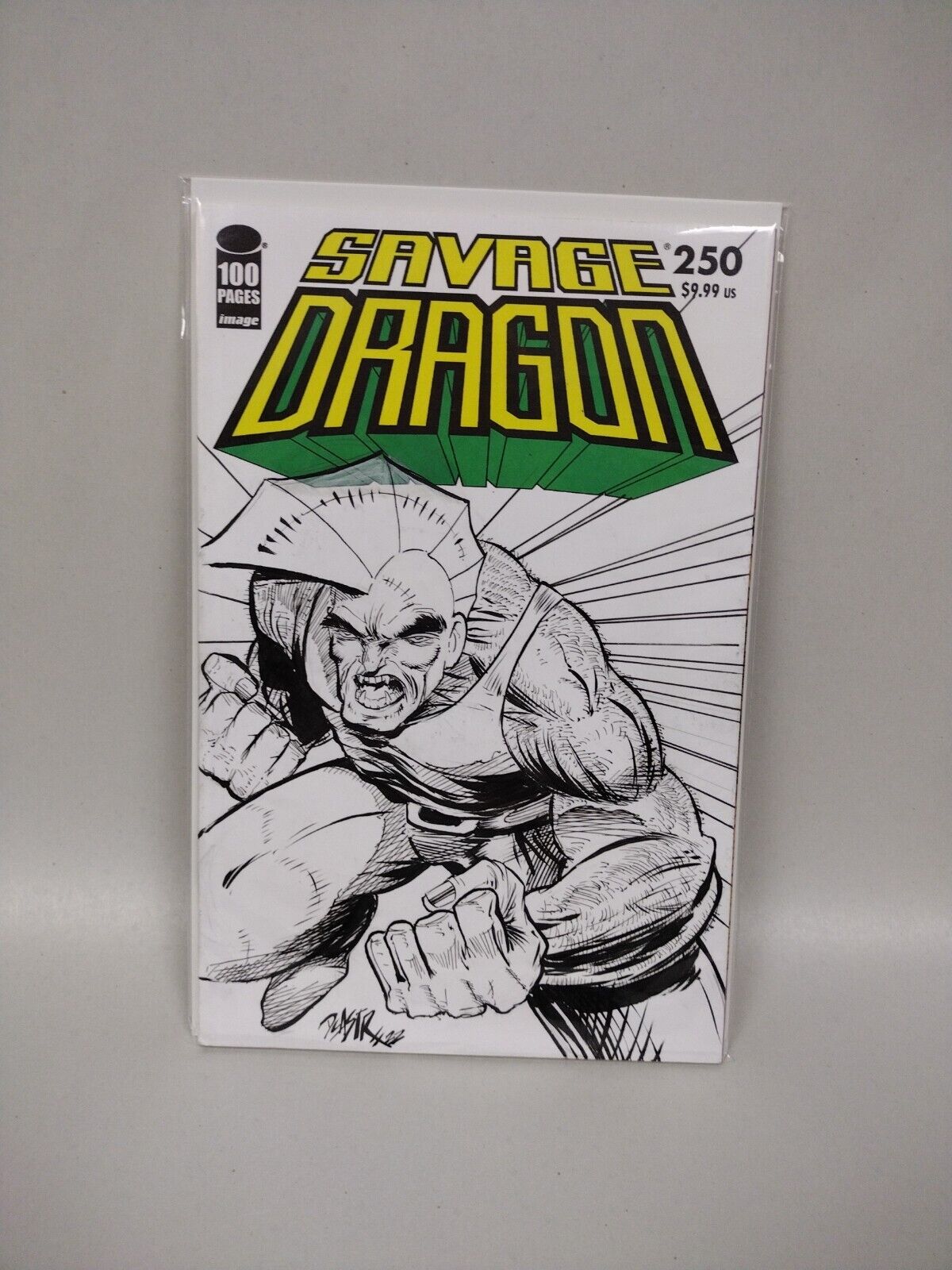 Savage Dragon #250 Blank Cover Comic w Original Art Dcastr w ARG COA #