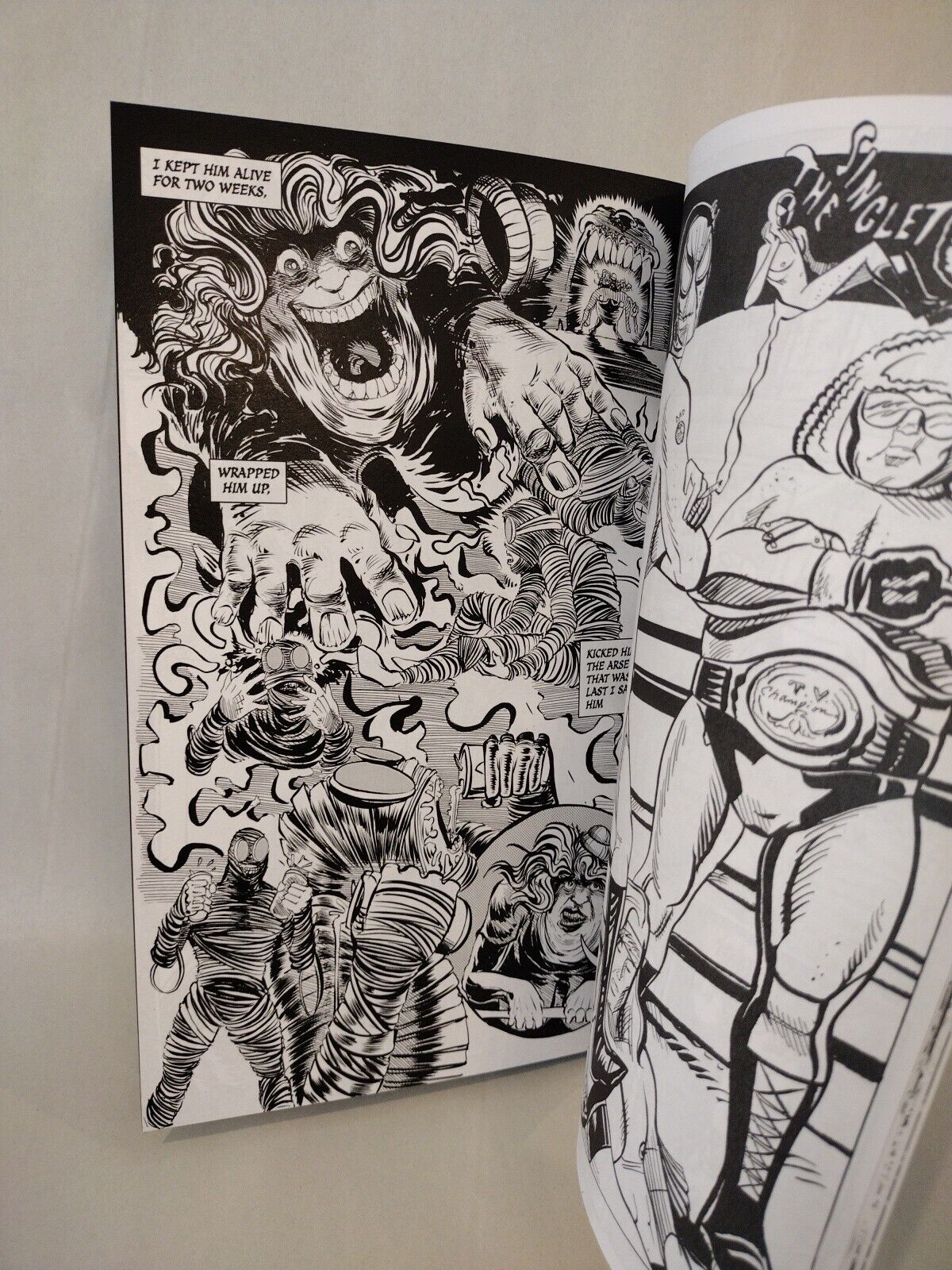 Potato Mummy Annual#1 (2022)Blank Cover Variant Comic W Original DCastr Art COA
