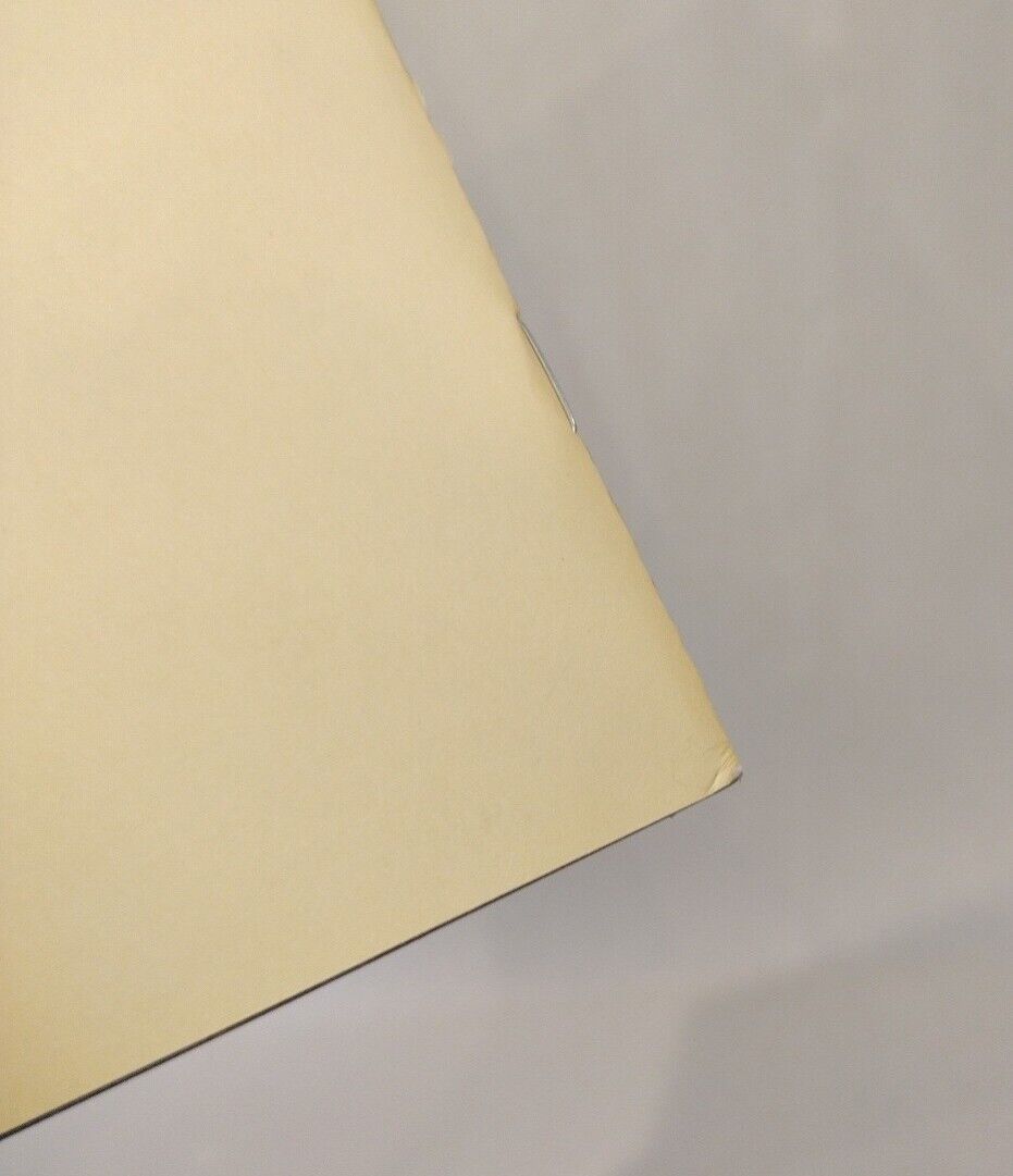 FLASH #800 (2023) DC Comic Sketch Cover Variant W Original Dave Castr Zoom Art