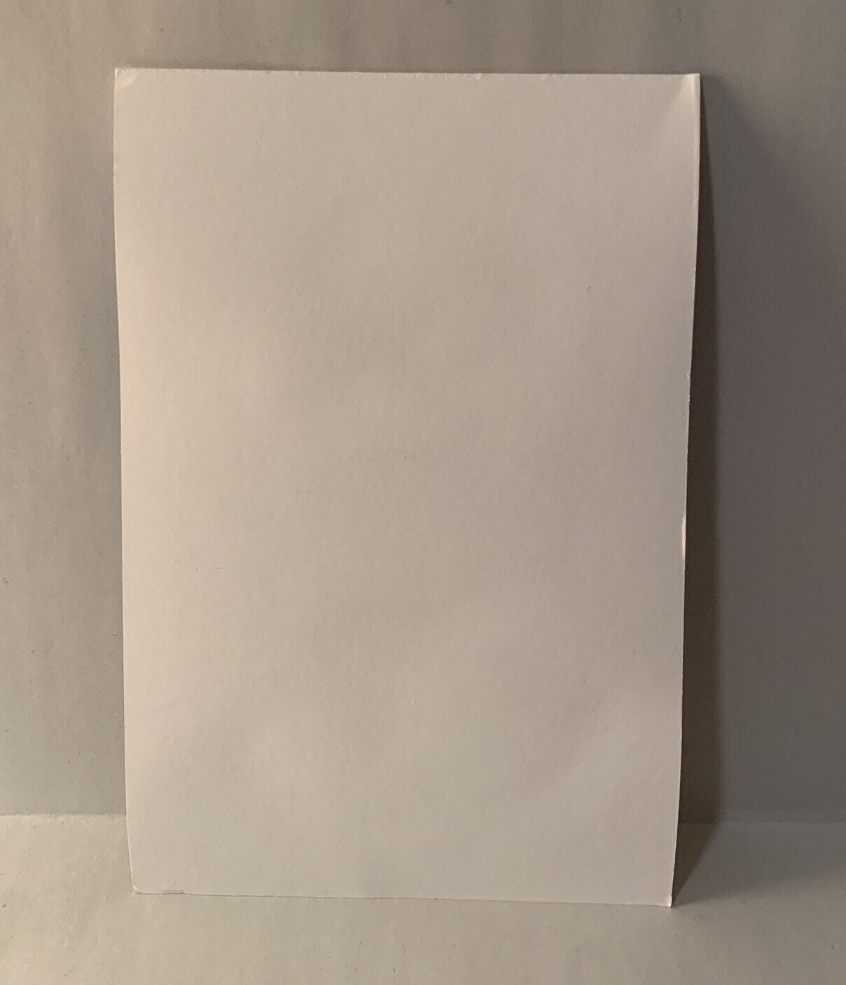 Original Dave Castr Trash Can Man 9x12” Art Sealed W ARG COA