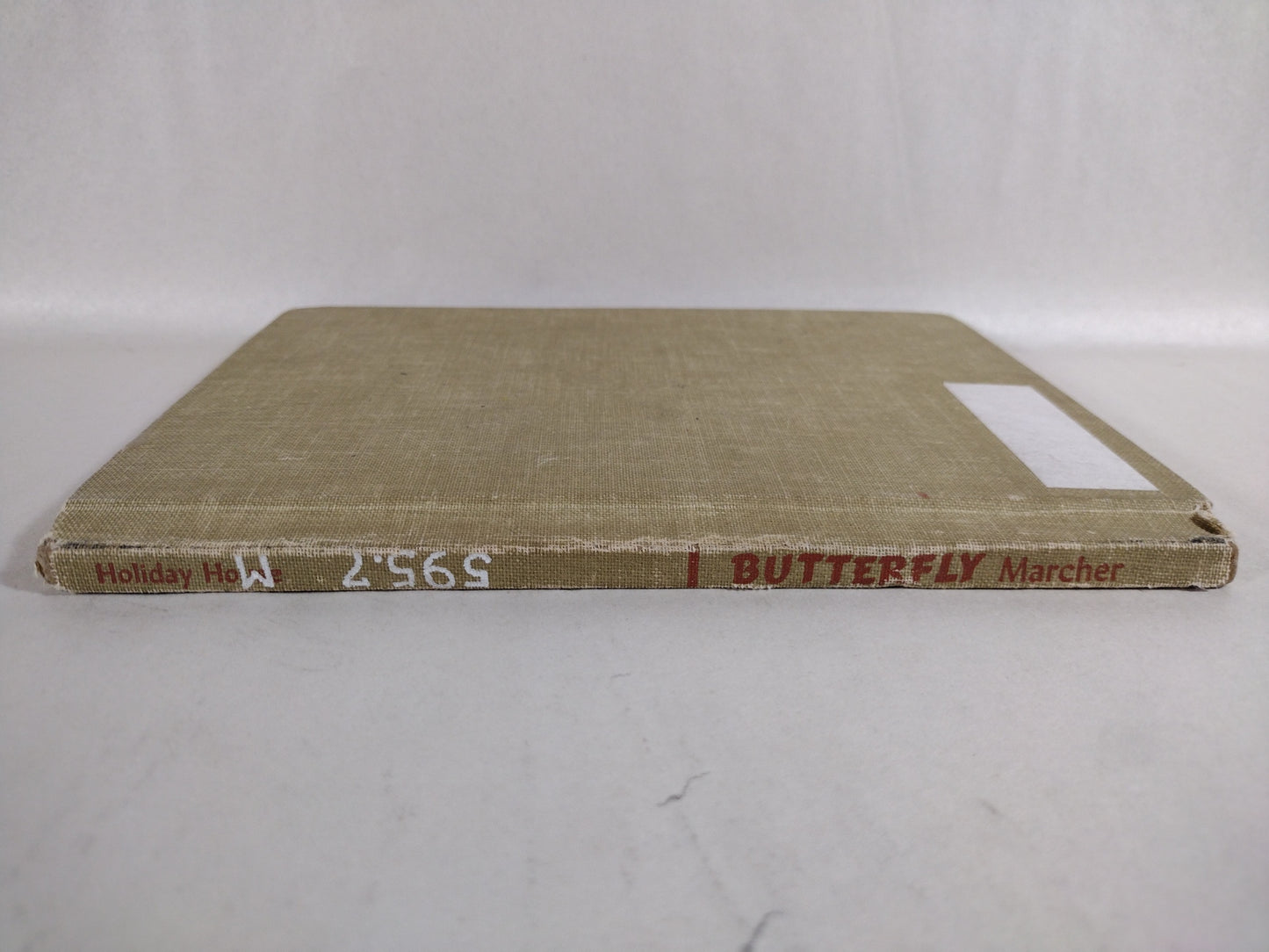 Monarch Butterfly 1960 Discarded Library Book W Original Dave Castr Color Art