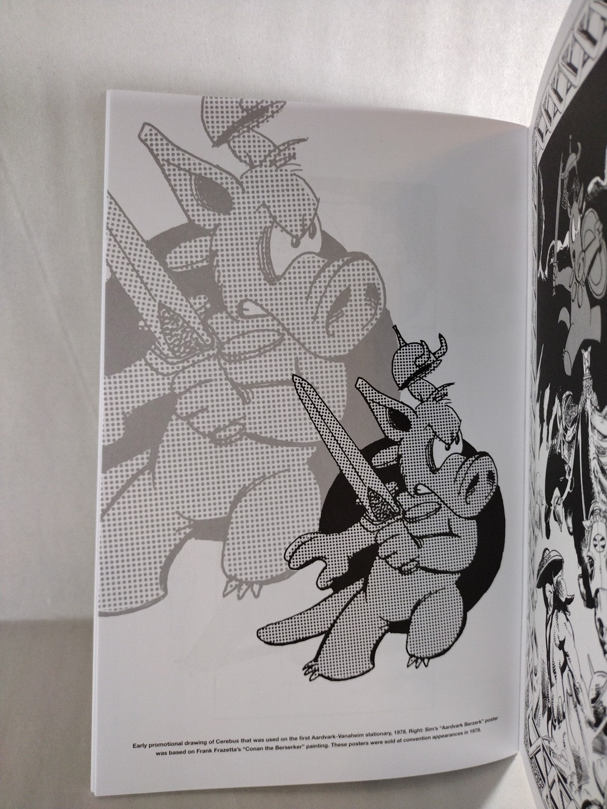 Image #6