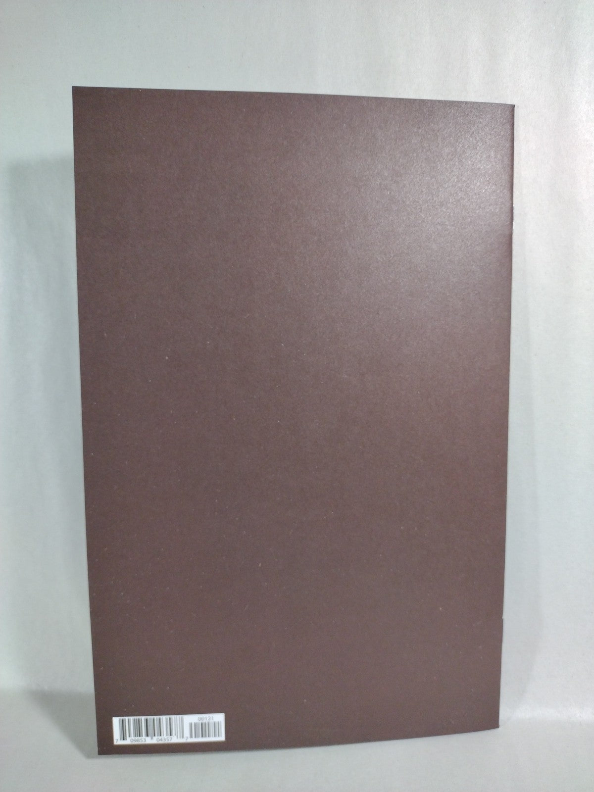 Image #4