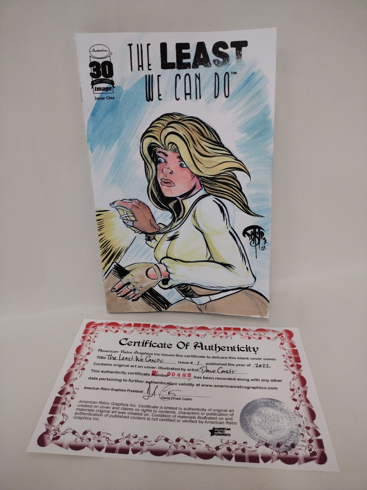 The Least We Can Do #1 (2022) Image Comic Blank Cover w Original Dave Castr Art