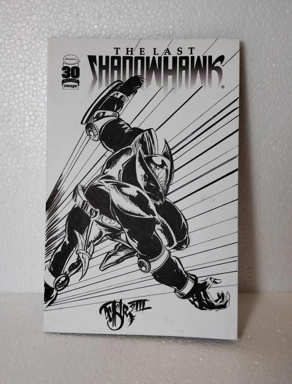 THE LAST SHADOWHAWK #1 Blank Cover Variant Image Comic w Original DCastr Art COA