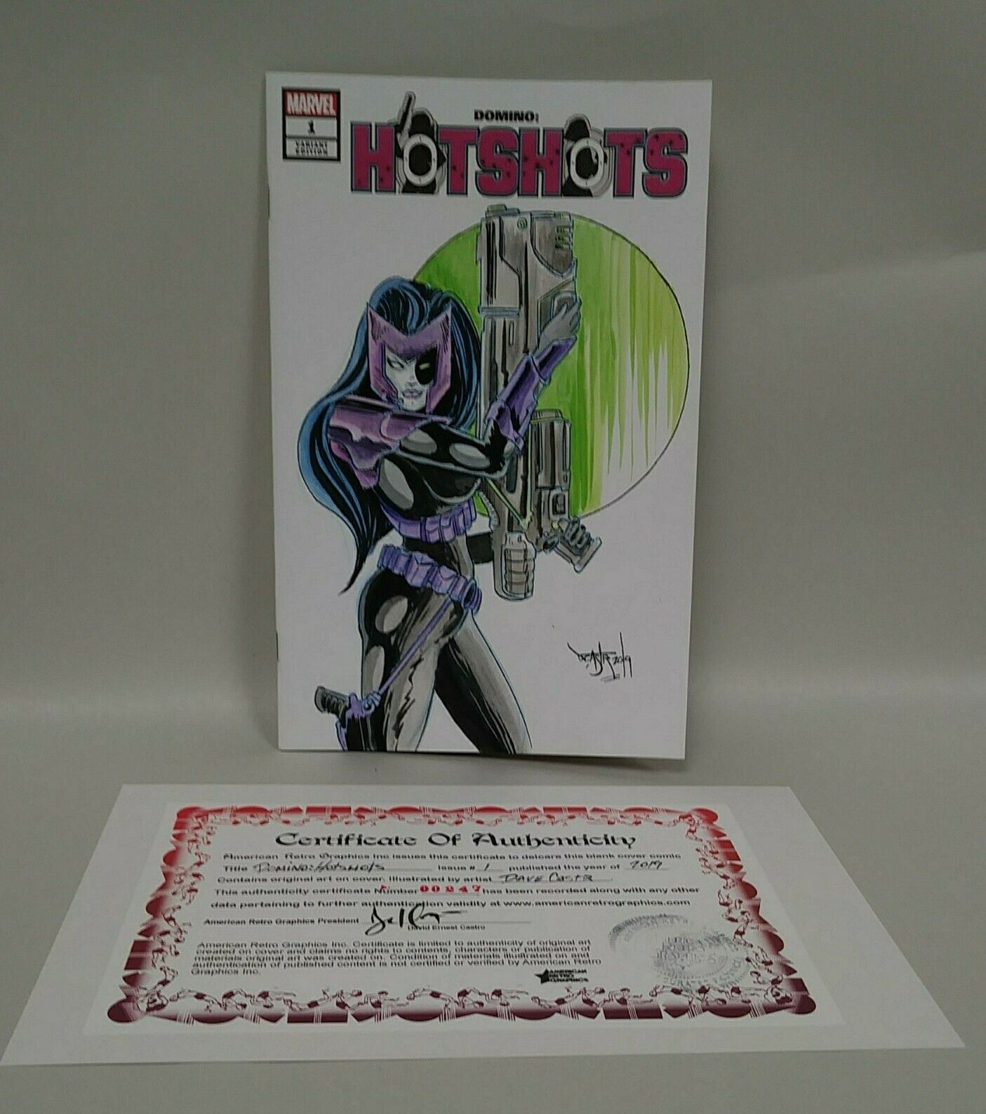 Domino Hotshots #1 (2019) Blank Cover  Comic W Original DCastr Art ARG COA 247