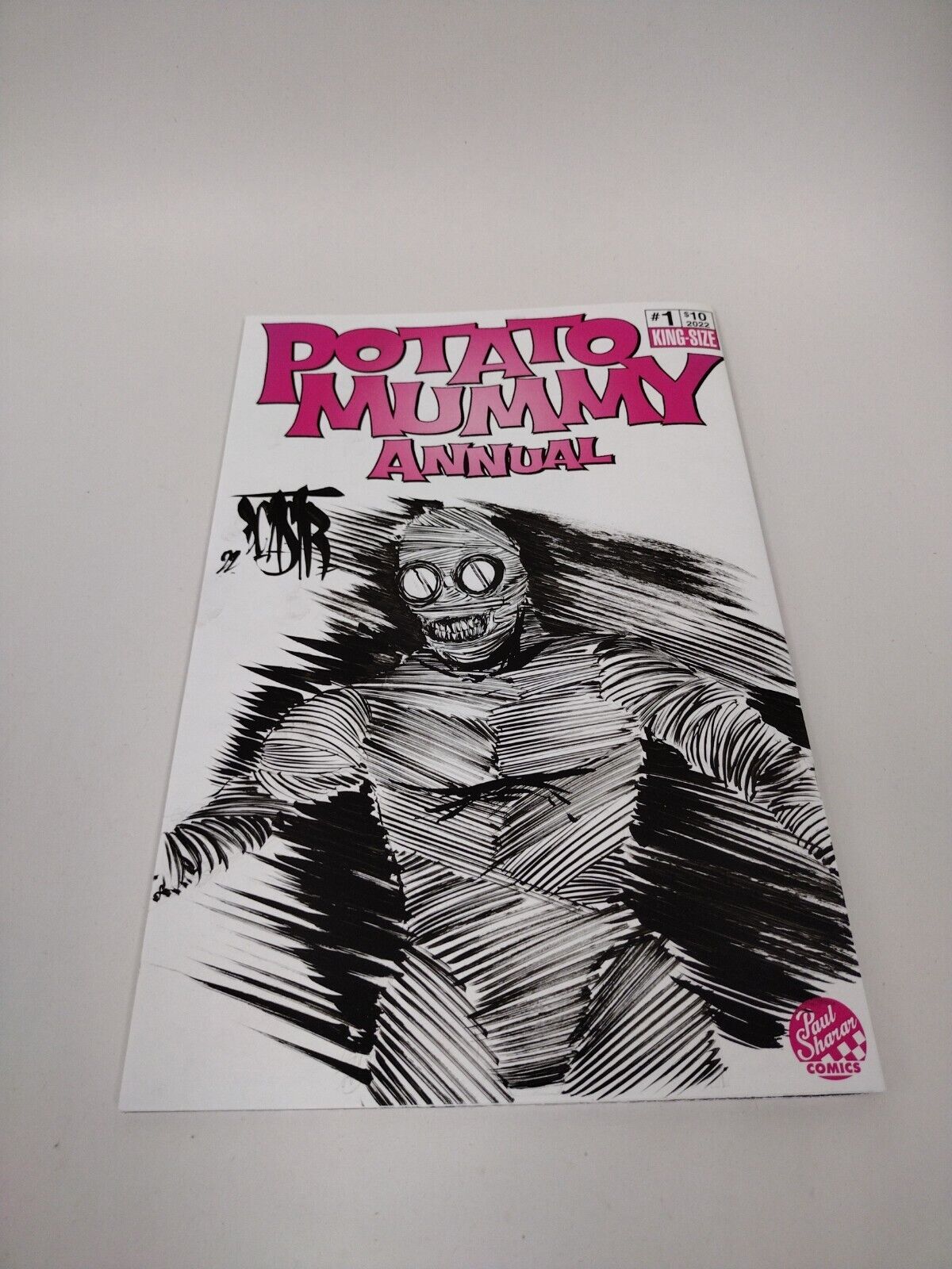 POTATO MUMMY ANNUAL #1 Blank Cover Variant Original DCastr Art COA