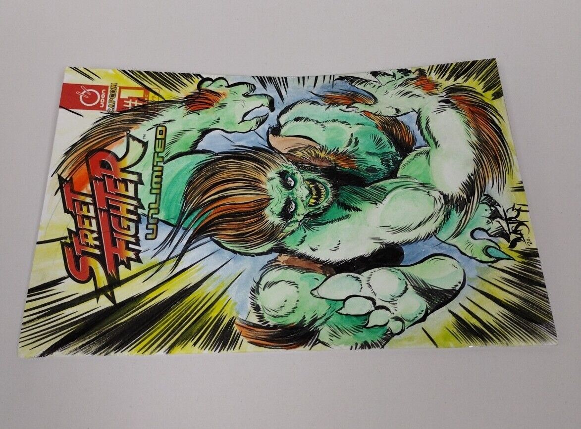 Street Fighter Unlimited #1 Blank Variant Comic W Original DCastr Blanka Art COA