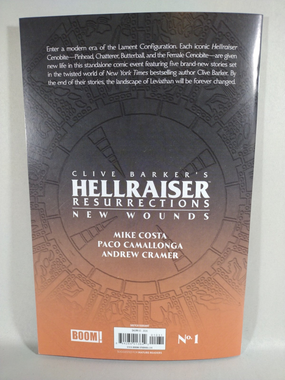 Hellraiser Resurrections New Wounds 1 Sketch Cover W Original DCastr Pinhead Art