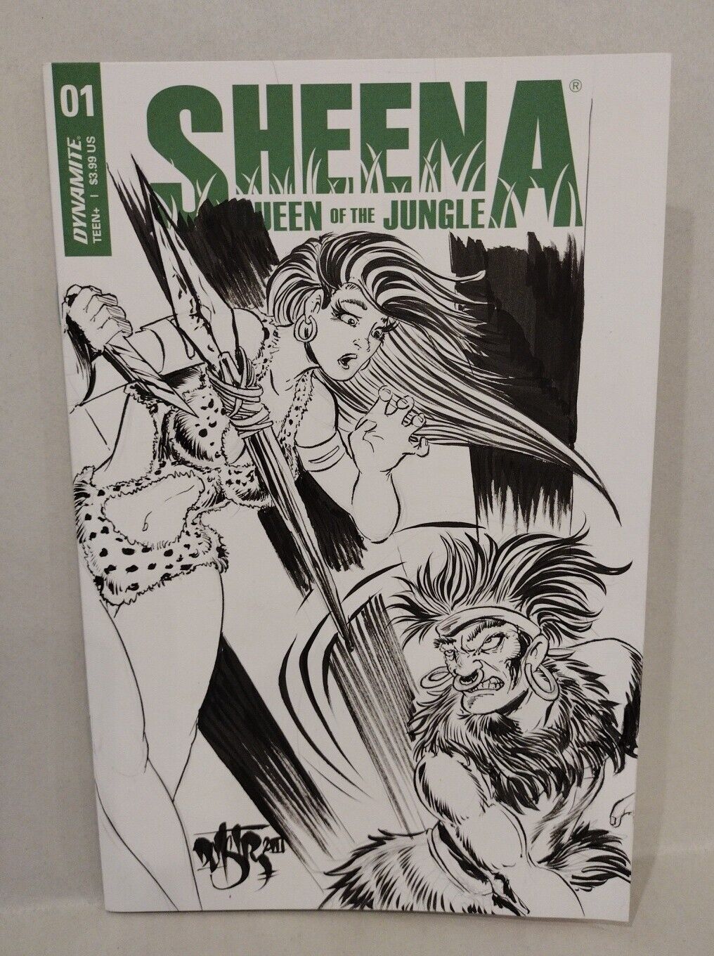 Sheena Queen of The Jungle #1 (2021) Blank Cover Comic w Original DCastr Art