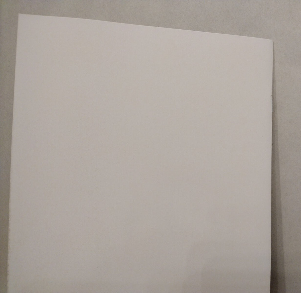 Last Barbarians 1 (2023) Blank Cover Variant Image Comic w Original DCastr Art