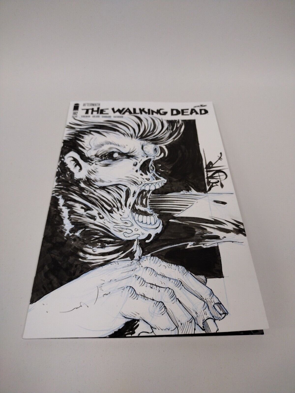 The Walking Dead #192 Blank Cover Sketch Variant W Original Art DCASTR ARG #297