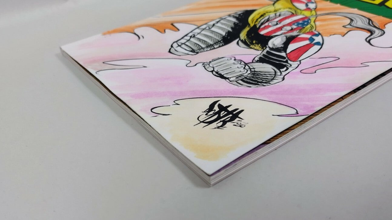 Savage Dragon #250 Image Comic Sketch Cover Variant W Original Dave Castr Art