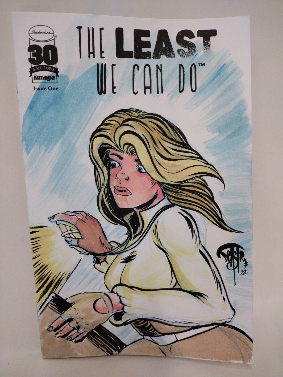 The Least We Can Do #1 (2022) Image Comic Blank Cover w Original Dave Castr Art