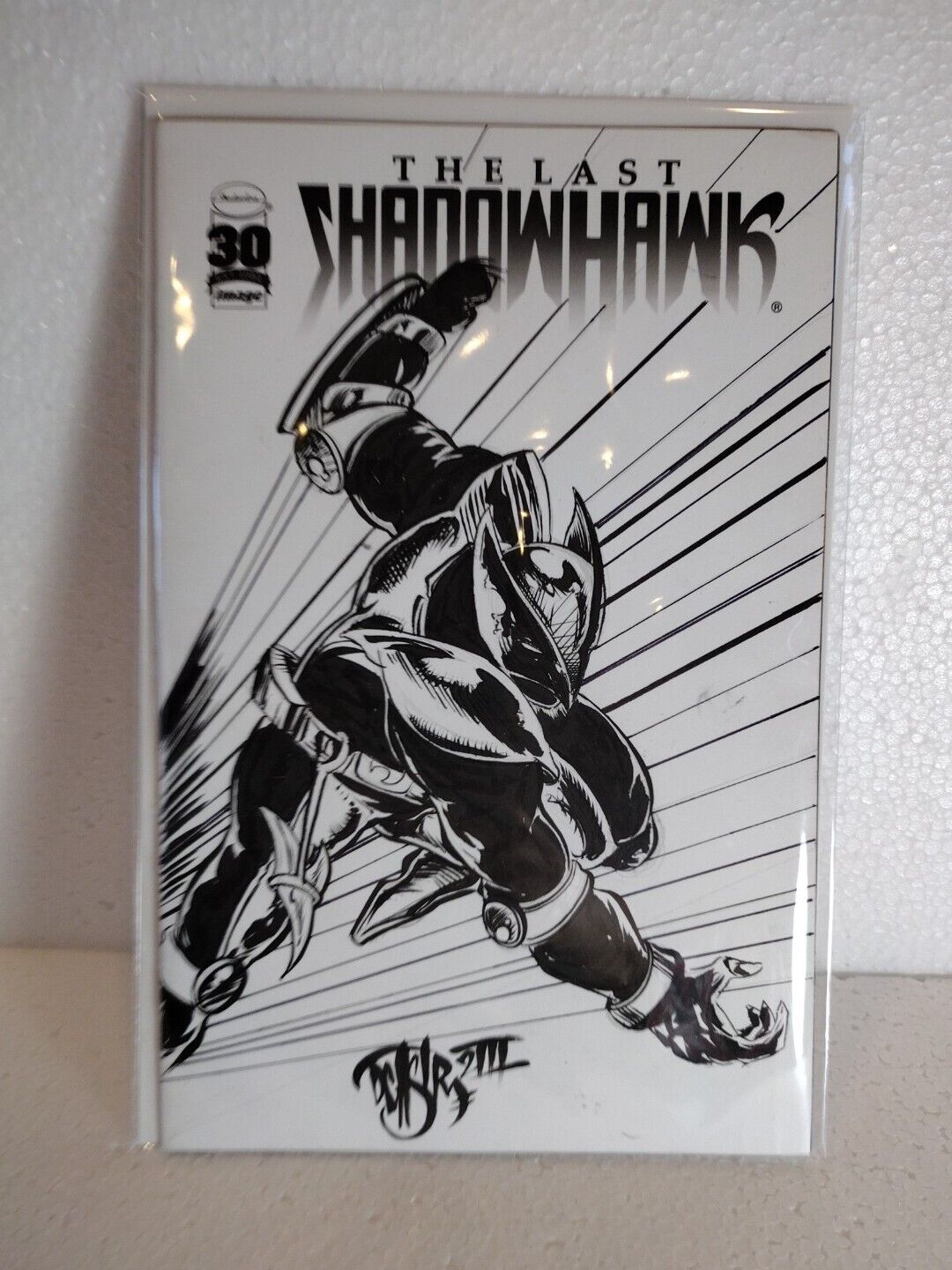 THE LAST SHADOWHAWK #1 Blank Cover Variant Image Comic w Original DCastr Art COA