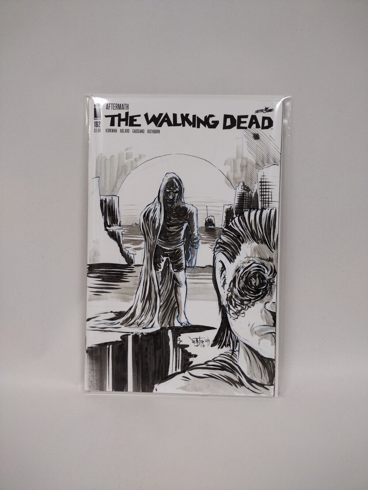 The Walking Dead #192 Blank Cover Sketch Variant W Original Art DCASTR ARG