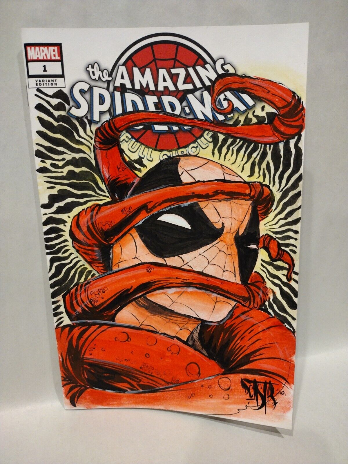 Amazing Spider-Man Full Circle (2019) #1 Blank Cover Comic W Original DCastr Art