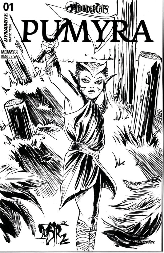 Thundercats Pumyra 1 (2025) Dynamite Sketch Cover Comic W Original DCastr Art