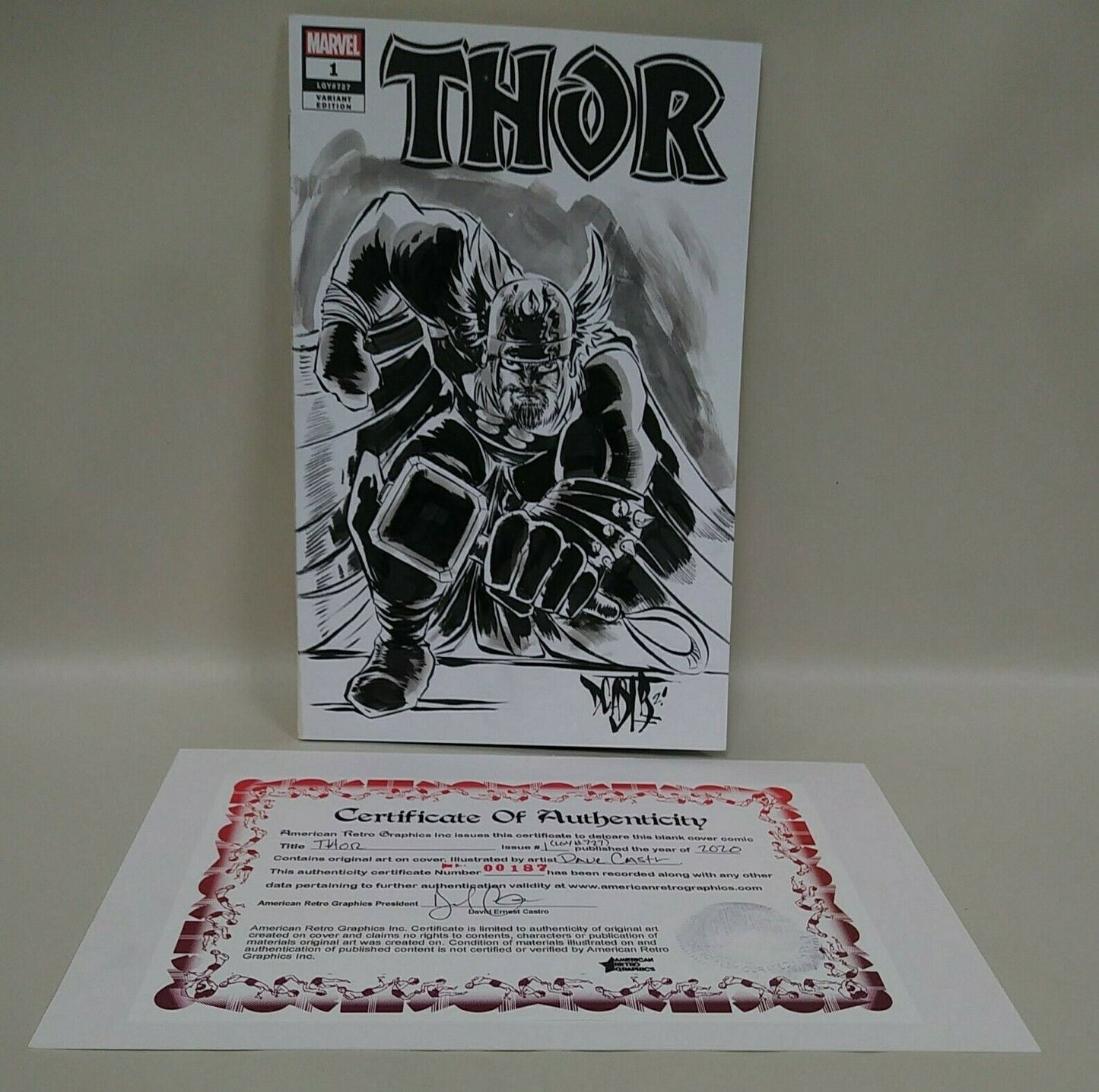 THOR #1 Blank Cover Variant Comic 2020 W Original DCastr Art COA 187