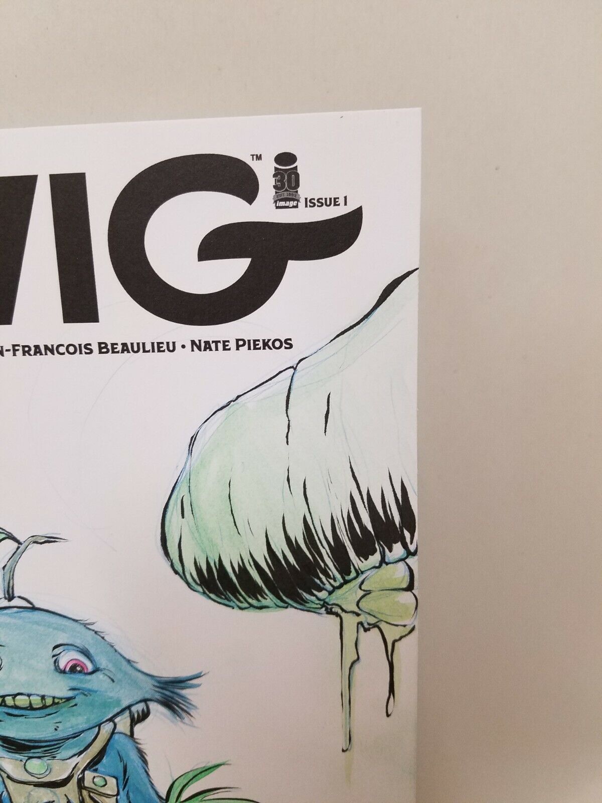 Twig #1 (2022) Blank Cover Variant W Original DCastr Watercolor Art ARG 303