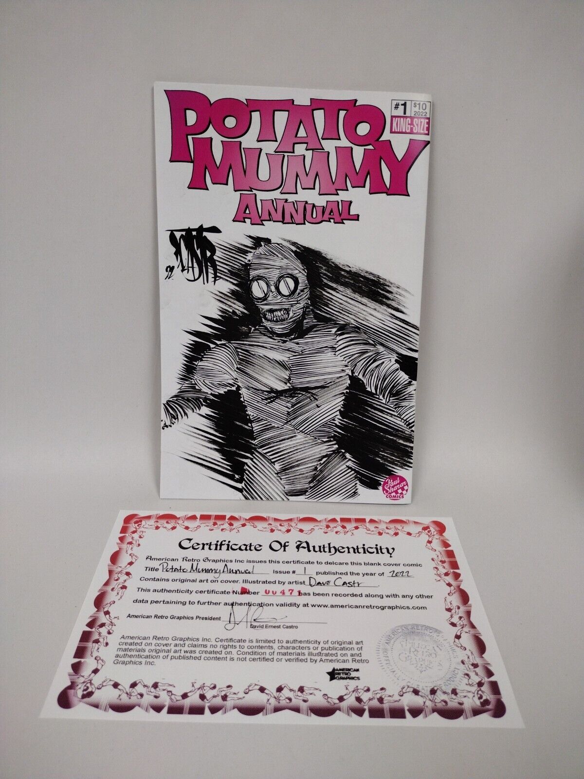 POTATO MUMMY ANNUAL #1 Blank Cover Variant Original DCastr Art COA