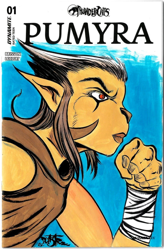 Thundercats Pumyra 1 (2025) Dynamite Sketch Cover Comic W Original DCastr Art